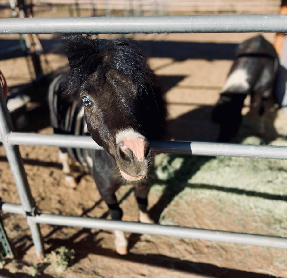 Rustic Farm Stay Temecula Zewnętrze zdjęcie